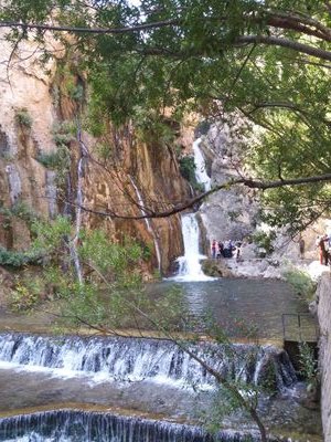 FilizGndgd3's profile picture. 