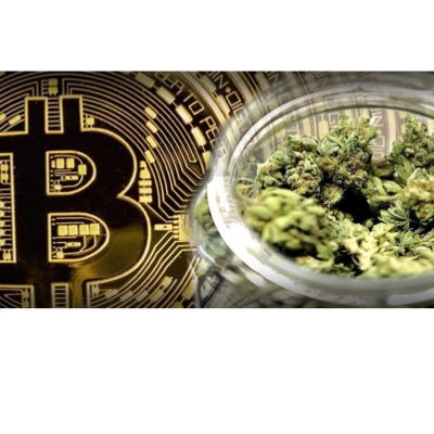 kushandcrypto's profile picture. 2 of the world's largest industries are now accessible via the device in your hand. Let's all get rich!!!