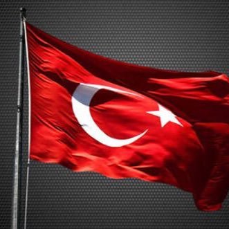 Hasan13938620's profile picture. 