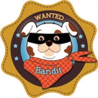 The Bandana Bandits(@bandannabandits) 's Twitter Profile Photo