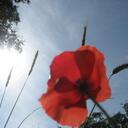 Niki Leigh Britt - @Dreamn13elieve - Twitter