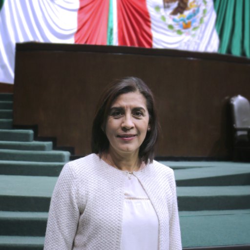 Diputada Federal de la LXIII legislatura. Comprometida con Querétaro y con México.