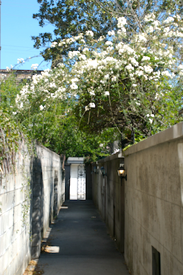 SavVacationHome's profile picture. I love Savannah: the walkable streets, the exquisite beauty and the rich history. Oh, and we own a vacation home there, too.