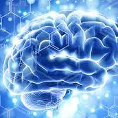 Cannabis Science & Other Things