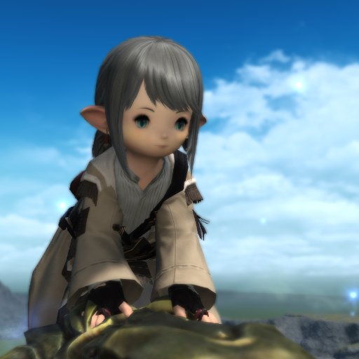 FF XIV／グラブル
時間で戦力をカバーするタイプのプレイをしています。コツコツ大事！学者・賢者・戦士の練習中