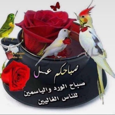 اللهم ابعد عن كل من يتتبع عثراتي ،اللهم صَل وسلم على نبينامحمد عليه افضل الصلاه والتسليم