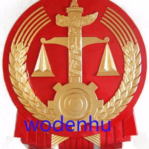 wodenhu's profile picture. Be curious about the outside world