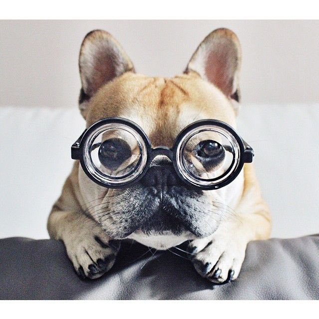 Mikeys_Psyche's profile picture. God fearing, anti-communist, small government, pro-constitutional combat veteran (government paid me to kill communist... I would have done it for FREE)