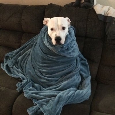 andrew_hall92's profile picture. 