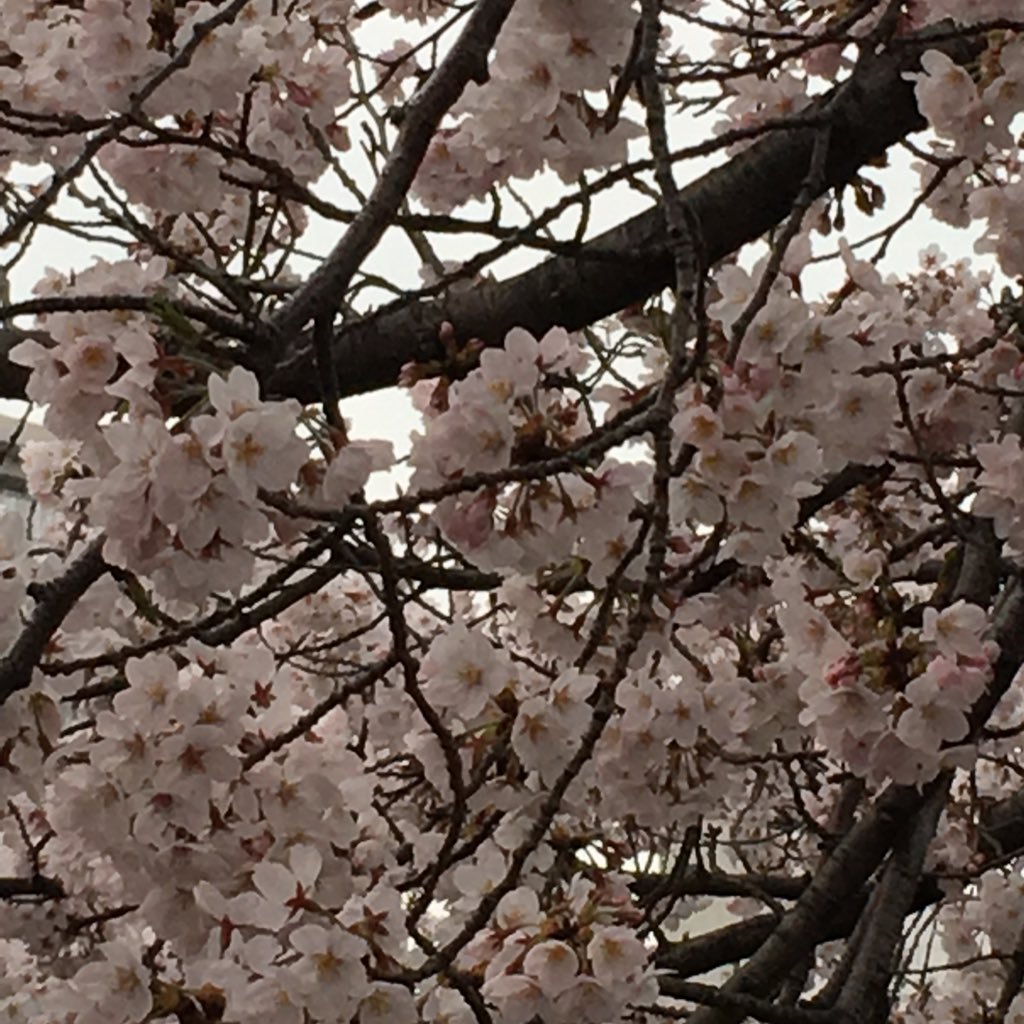 @tomoyoshi_ogura