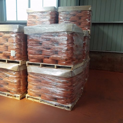 Guoyong10's profile picture.