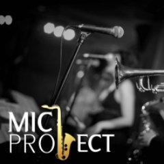 Micproject Profile