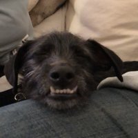 Michelle (@makapants) 's Twitter Profile