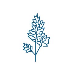 Inmunotek Profile
