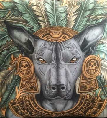 ApoyoXolo's profile picture. A little bit different to other options