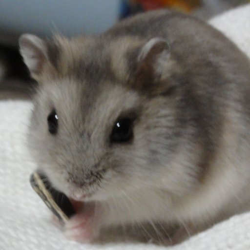 nomura0812's profile picture. 2021.02.01  MARI FAMILY入会
2024.04.01 エガちゃんねる　ノーパン村入村
07.19 結婚記念日
https://t.co/dnFx1nmLz6