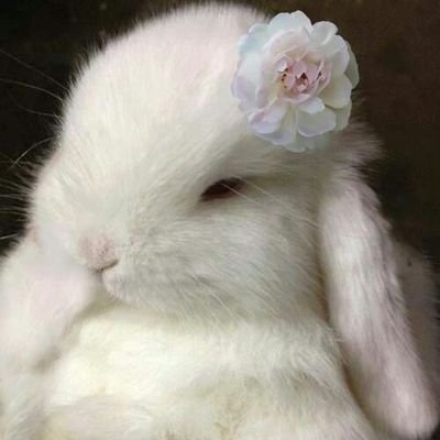 ぐみさんのプロフィール画像