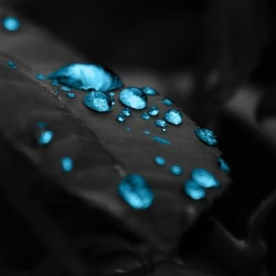 Hwans_commu's profile picture. 봇주가 환즈 기반커를 정리하고 싶어서 만든 이환 작가님의 소설을 기반으로 한 커뮤를 팔로우 및 알티하는 봇입니다. 타장르 기반 커뮤는 알티하지 않습니다.