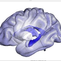 AI-Med: Artificial Intelligence in Medical Imaging (@ai_medic) 's Twitter Profile Photo AI-Med: Artificial Intelligence in Medical Imaging (@ai_medic) 's Twitter Profile Photo