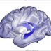 AI-Med: Artificial Intelligence in Medical Imaging (@ai_medic) Twitter profile photo AI-Med: Artificial Intelligence in Medical Imaging (@ai_medic) Twitter profile photo