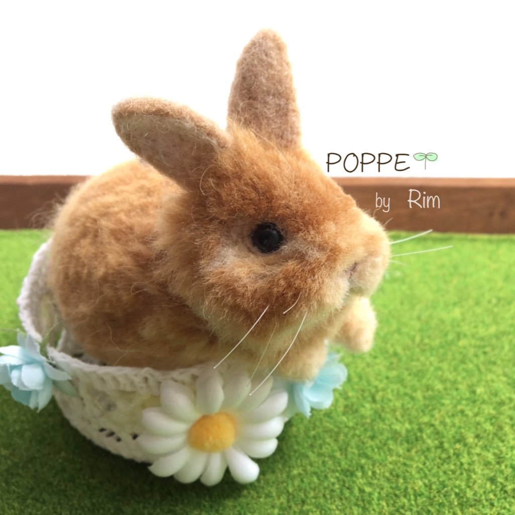 屋号＊POPPE 🌱rim（りむ）🌱 羊毛フェルトの動物園＊我が家のチモさんはお月様在住です🐰🌙手芸屋さん勤務✽羊毛フェルトが主、その他時々何か✽✽✽ 今のところ主な販売先はminneさん→https://t.co/DWCWLtZwpv #羊毛フェルト #ハンドメイド #うさぎ