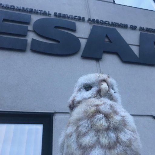 HootESAAOwl's profile picture. Hello, I am Hoot the Burrowing Owl and official mascot of ESAA.  Follow my adventures around Alberta, Canada and the World.