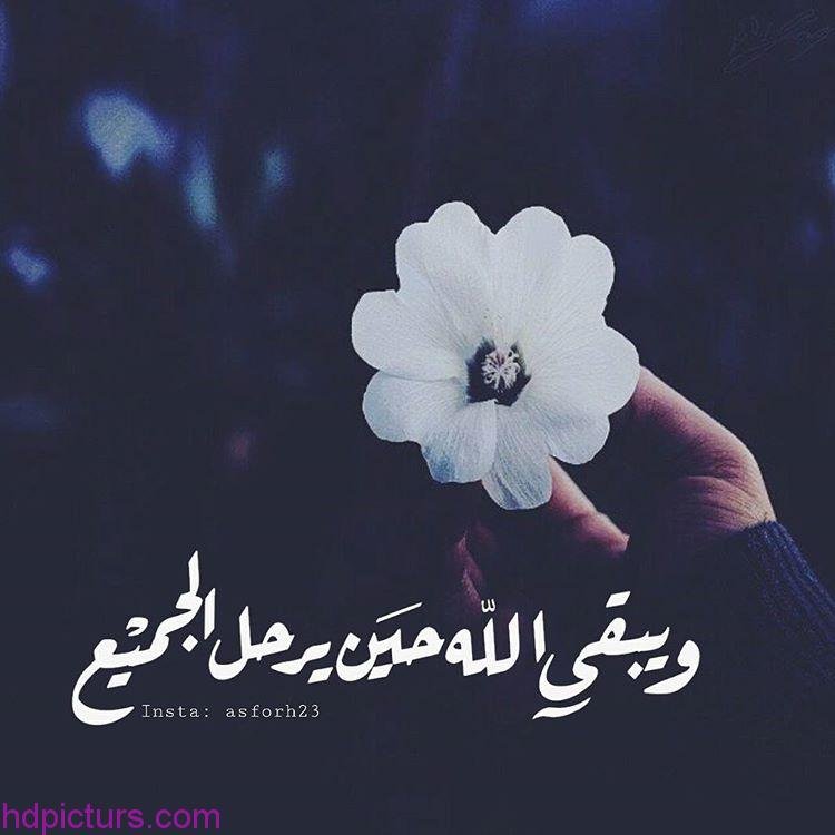 ‏عش عفويتك تاركا للناس اثم الظنون،فلك اجرهم و لهم ذنب مايعتقدون✨