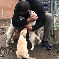 Matt Kaeberlein (@mkaeberlein) 's Twitter Profile