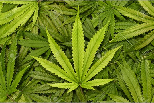 Lo que la naturaleza nos da nadie nos la debería prohibir!!