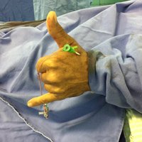 Dimitri Zappi, M.D. (@dimitri_zappi) 's Twitter Profile