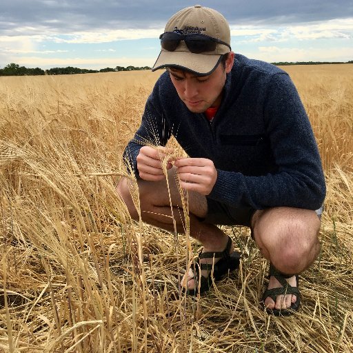 dak0tagrusak's profile picture. 