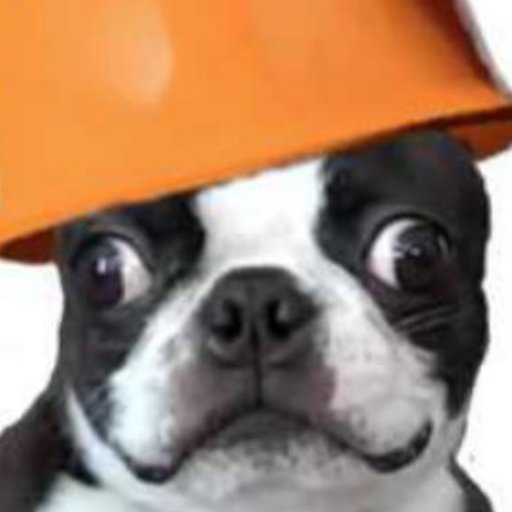 engineerdogita’s profile image