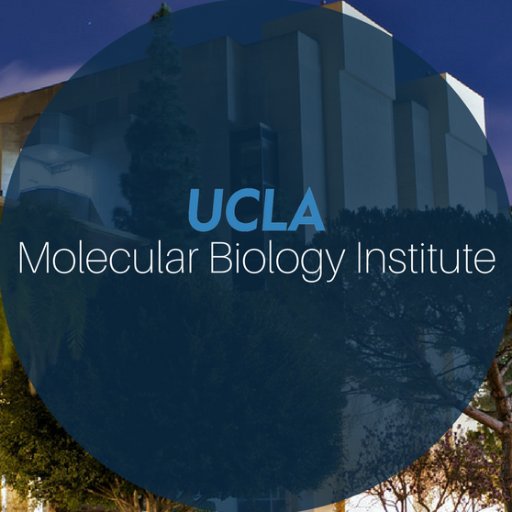 Follow for updates from the Molecular Biology Institute at UCLA.