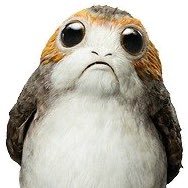 Porg Life ⭐️さんのプロフィール画像