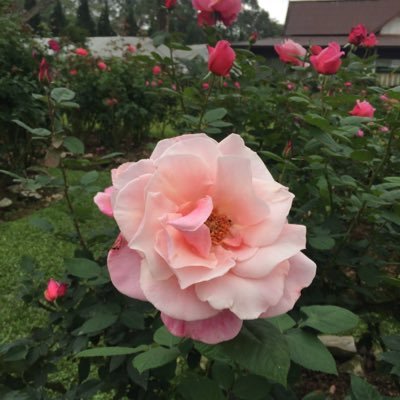 benjar555's profile picture. Entertainment Food General Entertainment Movies Health