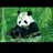 panda☆のアイコン