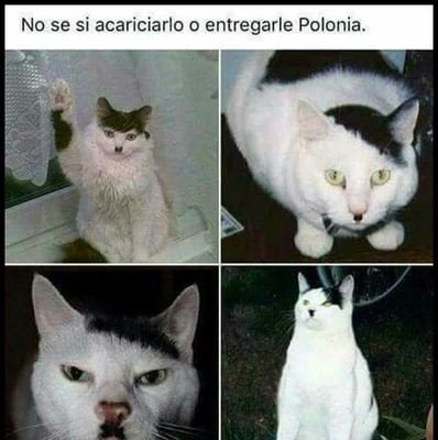 edutelaveto's profile picture. pffffff