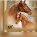 زائر جدة وخر (@magzoll) Twitter profile photo زائر جدة وخر (@magzoll) Twitter profile photo