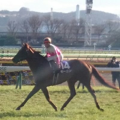 競馬→時事ネタ→テレビ(録画)→スポーツ→身近な出来事な感じで、ゆる～くツイート、の長渕剛ファン。野球は横浜、バスケはブレックスファン。