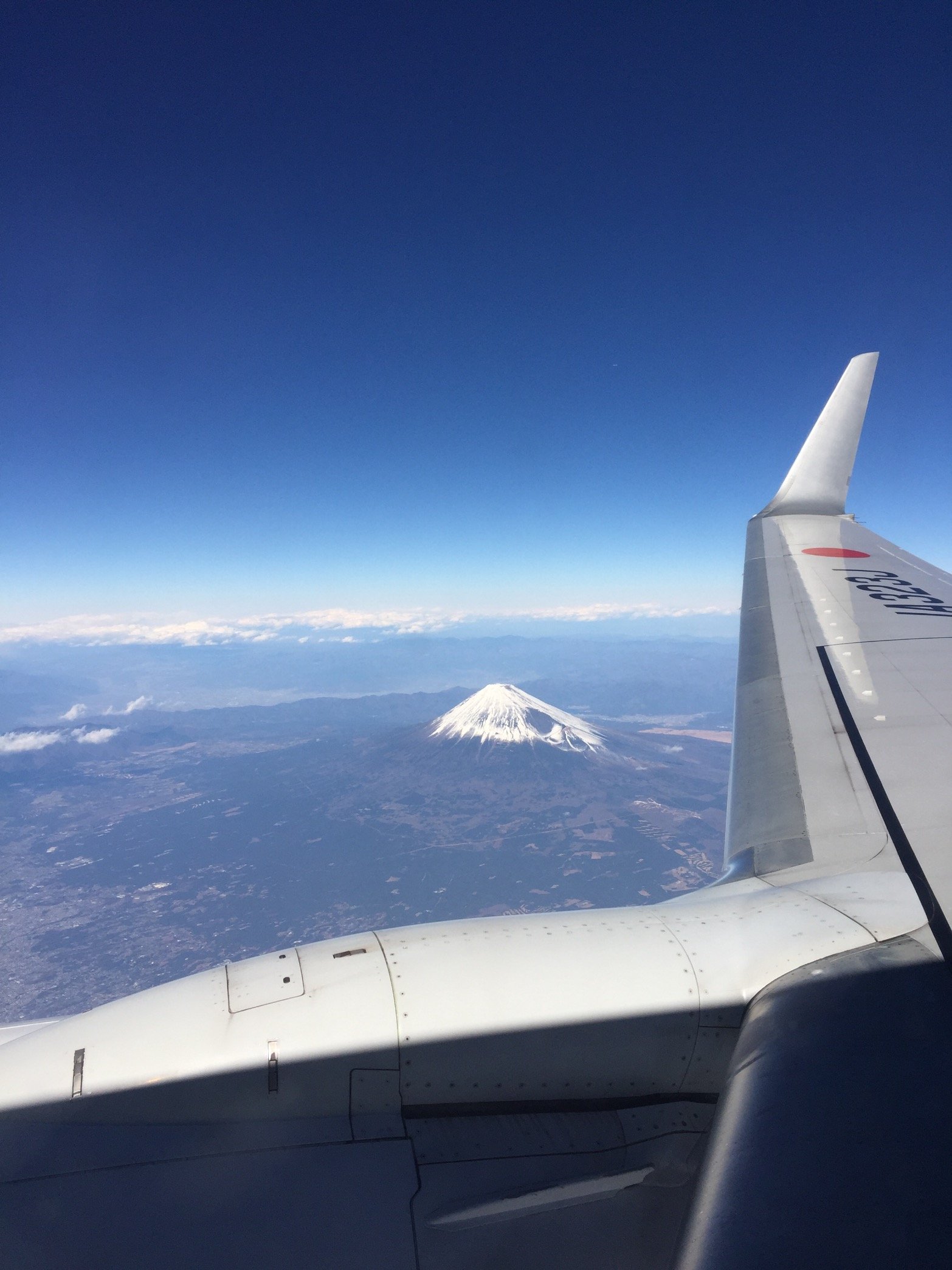 ayaivz1's profile picture. 