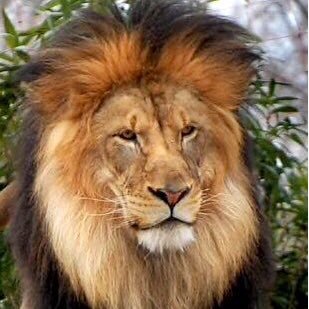 IiKPhpU5njCWUGN's profile picture. 