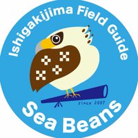 石垣島バードウオッチングガイドSeaBeans(@IFG_SeaBeans) 's Twitter Profile Photo