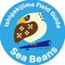 石垣島バードウオッチングガイドSeaBeans (@ifg_seabeans) Twitter profile photo 石垣島バードウオッチングガイドSeaBeans (@ifg_seabeans) Twitter profile photo