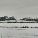 Paul Bermingham - @horseleapman197 - Twitter