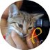 Bel Galera #DonecPerficiam (@belgalera) Twitter profile photo Bel Galera #DonecPerficiam (@belgalera) Twitter profile photo