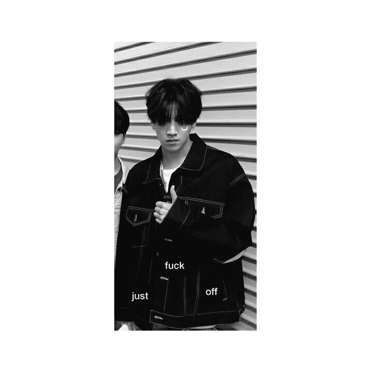 WSHAHOE's profile picture. 