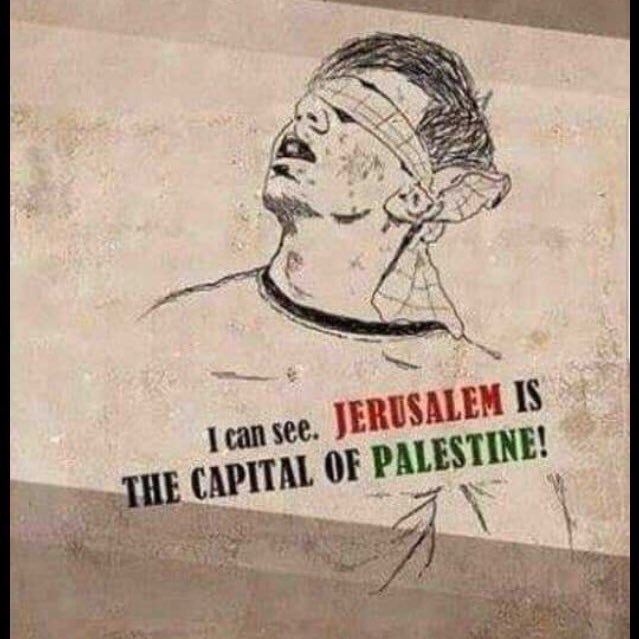 AsemDwaikat's profile picture. من المؤلم أن تكون الأبتسامه دائمه على وجهك ،    وأنت فاقدها في قلبك - غسان كنفاني  🇵🇸