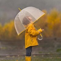 ••Afaf Ahmad•• (@a5950) 's Twitter Profile Photo ••Afaf Ahmad•• (@a5950) 's Twitter Profile Photo