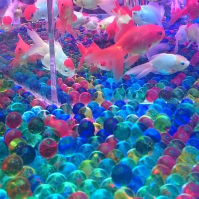 mzmzmz_dr's profile picture. *夢用/20↑　*さいどえむ：はるな/ぴえーる/しき　注：腐/百合もいける人です