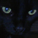 avium's profile picture. The world needs to get smarter, faster.